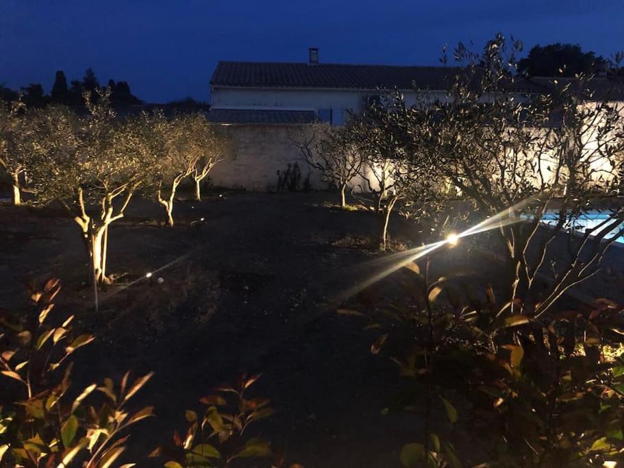 Superbe Villa Neuve A 5 Mn Du Centre Saint-Rémy-de-Provence Eksteriør bilde